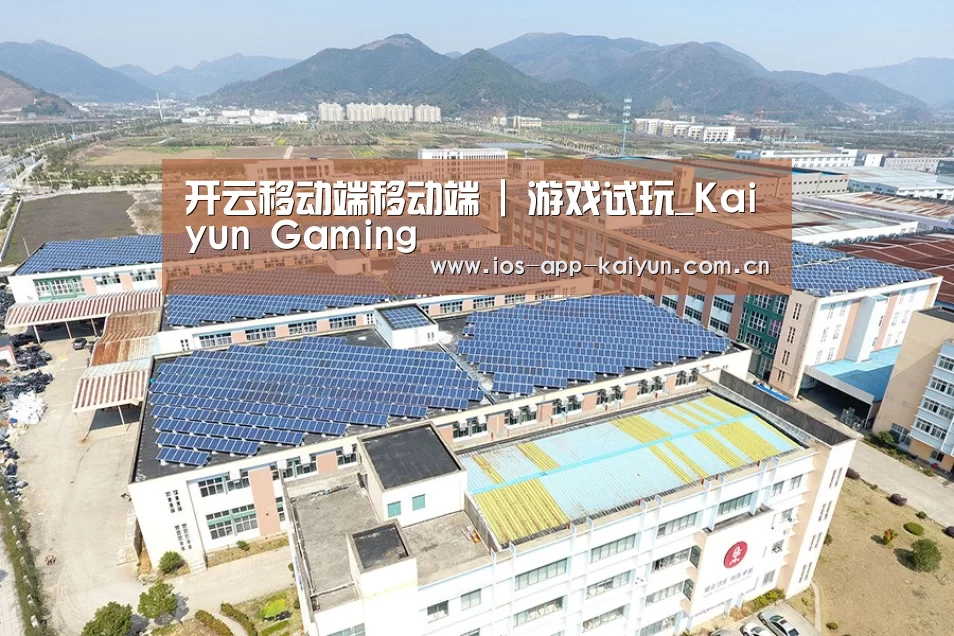案例展示二