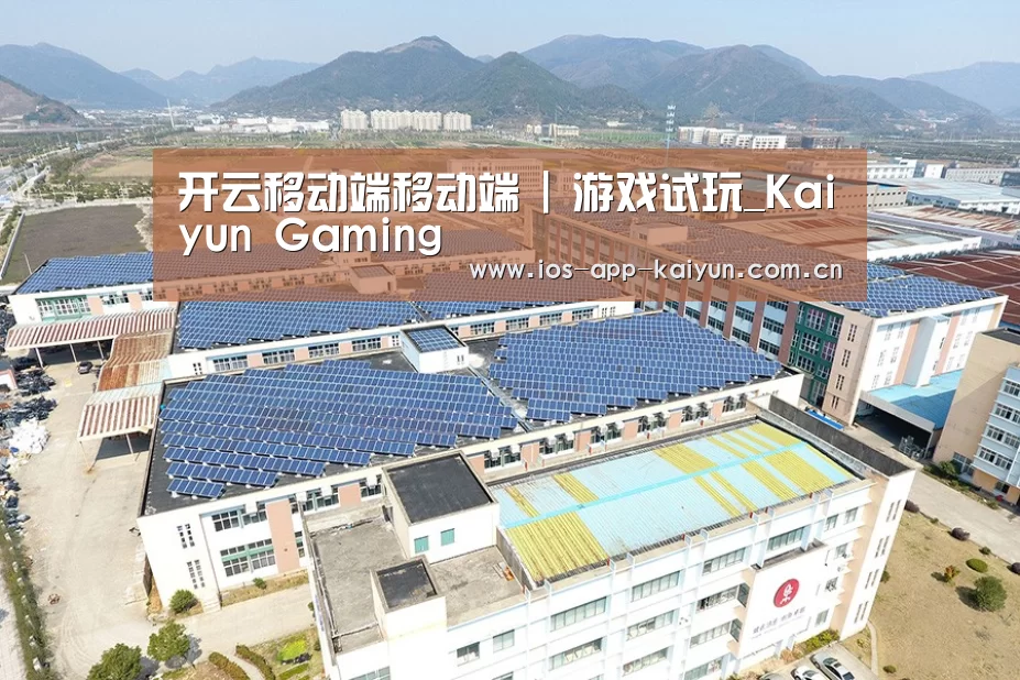 案例展示四