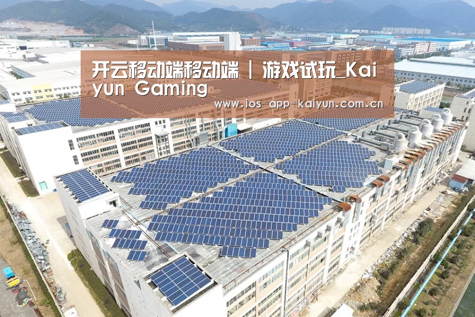 案例展示四