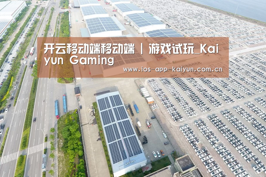 案例展示一
