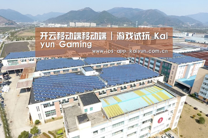 案例展示三