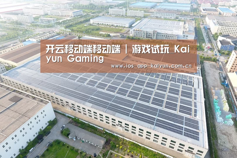 案例展示四