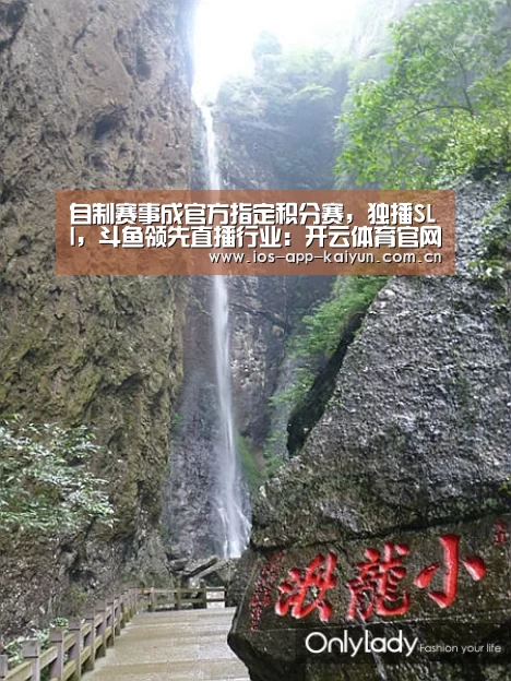 开云体育互动
