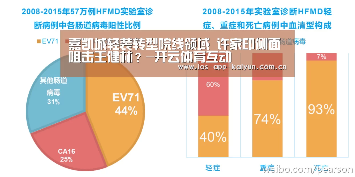 开云体育官网